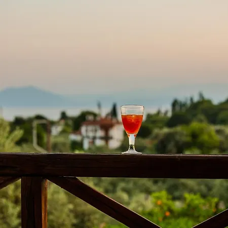 10 Elies Villa Koropi