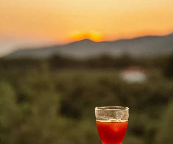 Villa 10 Elies Koropi